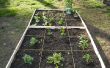 Wie erstelle ich eine einfache Quadratfuß-Garten! 