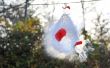 Möchten Sie Bilder von platzen Luftballons im Tageslicht zu schießen? 
