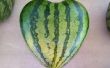 Eine Herz-Form-Wassermelone wachsen
