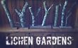 Lichen Garten
