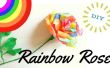 DIY-Rainbow Rose