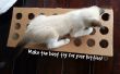 Eine Spielzeug für Ihre Katze aus Pappe zu machen