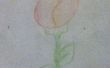 Gewusst wie: zeichnen eine Tulpe