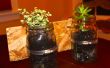 DIY-Einmachglas Pflanzer