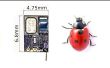 Kleine Marienkäfer Größe FM Spy Bug