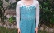 Elsa/gefroren Kleid