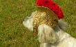 Römischer Gladiator Helm für Hunde