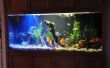 Ein weiterer - hohe Helligkeit LED (HBLED) Aquarium Lampe