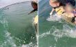 Bauen einen GoPro Surf-Pol