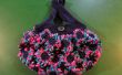 Cute Crochet Flower Geldbörse