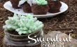 Essbare saftigen Terrarium Cupcakes! 