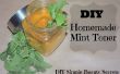 DIY natürliche hausgemachte Mint Toner für & schöne gesunde Haut