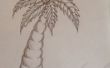 Gewusst wie: zeichnen eine Palme