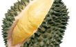 Alle denken wie Durian? Oder was sind die Vorteile von Durian Essen? 
