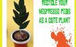 Topfpflanze Nespresso Pod