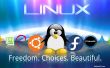Wie installiere ich ein Linux-Betriebssystem auf Ihrem Chromebook