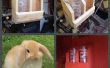 Bunny Rabbit Hydration Station gemacht aus Altholz