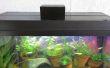 Fish Feeder Arduino Raspberry Pi Link