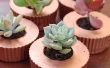 Cupcake konkrete Pflanzer