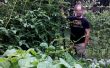 Vertikale Garten Spalier für Tomaten oder Squash