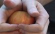 Einen Apfel in zwei Hälften mit Ihren bloßen Händen zu knacken