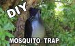 Wie zu einer Ovitrap Mosquito Trap