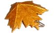 Maple Leaf Anhänger (Papier)