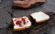 Gewusst wie: Make Berg Kuchen | Lagerfeuer-Sandwiches