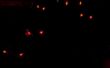 Super Spooky böse LED Augen der Doom mit atTiny85 und Arduino IDE