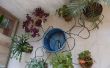 Micro-Bewässerungs-System für Zimmerpflanzen