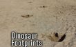 Dinosaurier-Fußspuren