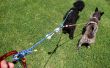 Seil-Leine für 2 Hunde