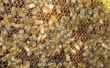 Ernte und extrahieren Honig