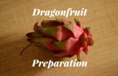 Vorbereitung einer Drachenfrucht