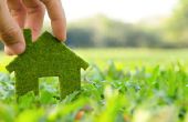 Grüne Trends: 8 Tipps für einen mehr Eco Friendly Home