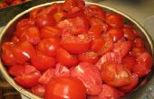 Saft und Tomate Gemüsesauce