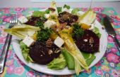 Vegetarischer Salat der Saison mit frischen Kerbel-Orangen-Dressing