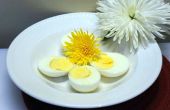 Problemlösungen und Tipps für gekochten Eiern