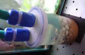DIY-Kanister Aquarium Filter Konvertierung