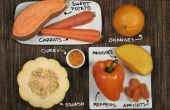Orangefarbene Lebensmittel! Buntes Kochen ohne künstliche Farbstoffe. 