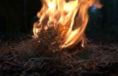 Machen ein Feuer mit Feuerstein und Stahl-Methode (Hands on Bushcraft)