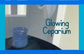 Leuchtende Bakterien Ceparium