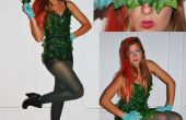 Poison Ivy-Kostüm
