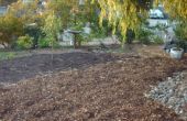 Dürre Tolerant Front Yard - Boden Rasen umwandeln