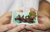 Chocolate Covered Squid - Valentine's Day Candy From the Sea
