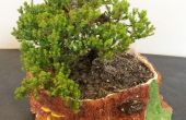 Keramik-Skulptur: Tree Stump Bonsai Pflanzer