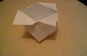 Origami Chinese Take away Box