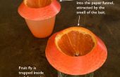 Billig, effizient, einfach (und niedlich!) Fruchtfliege Falle