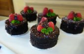 Wie erstelle ich Mini Himbeer-Schokoladen-Kuchen | Josh Pan