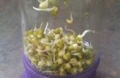 Super leichte Samen und Bohnen abzubrausen